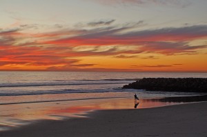 Surf_Sunset